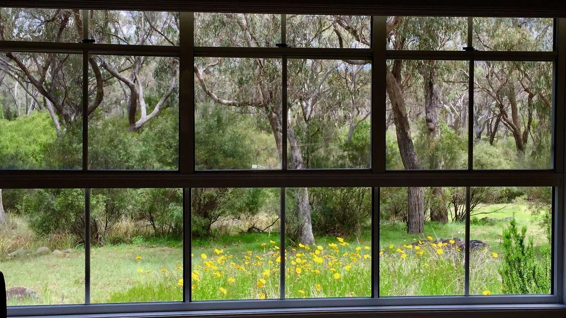 Diamondvale Estate Stanthorpe Bed & Breakfast 4*,