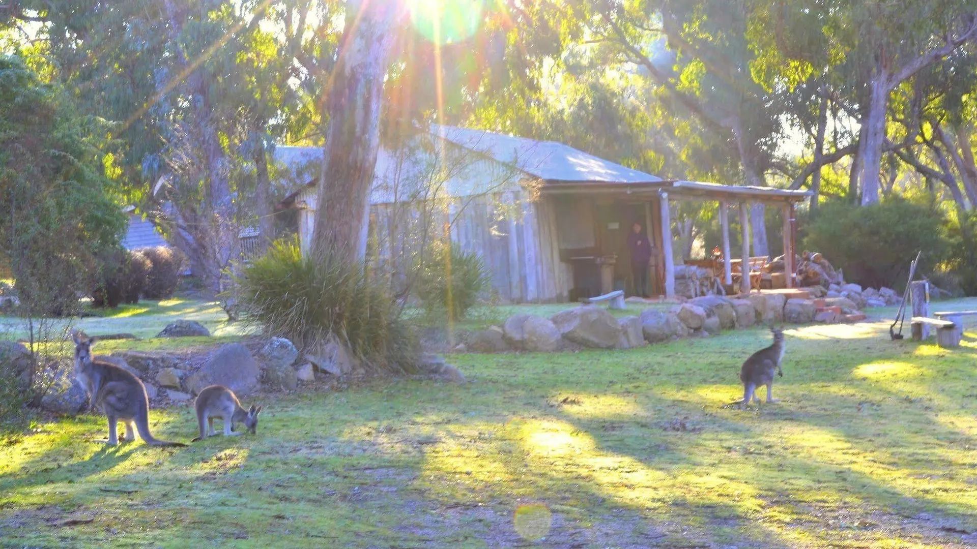 Diamondvale Estate Stanthorpe Bed & Breakfast Australia
