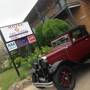 The Vines & Motel