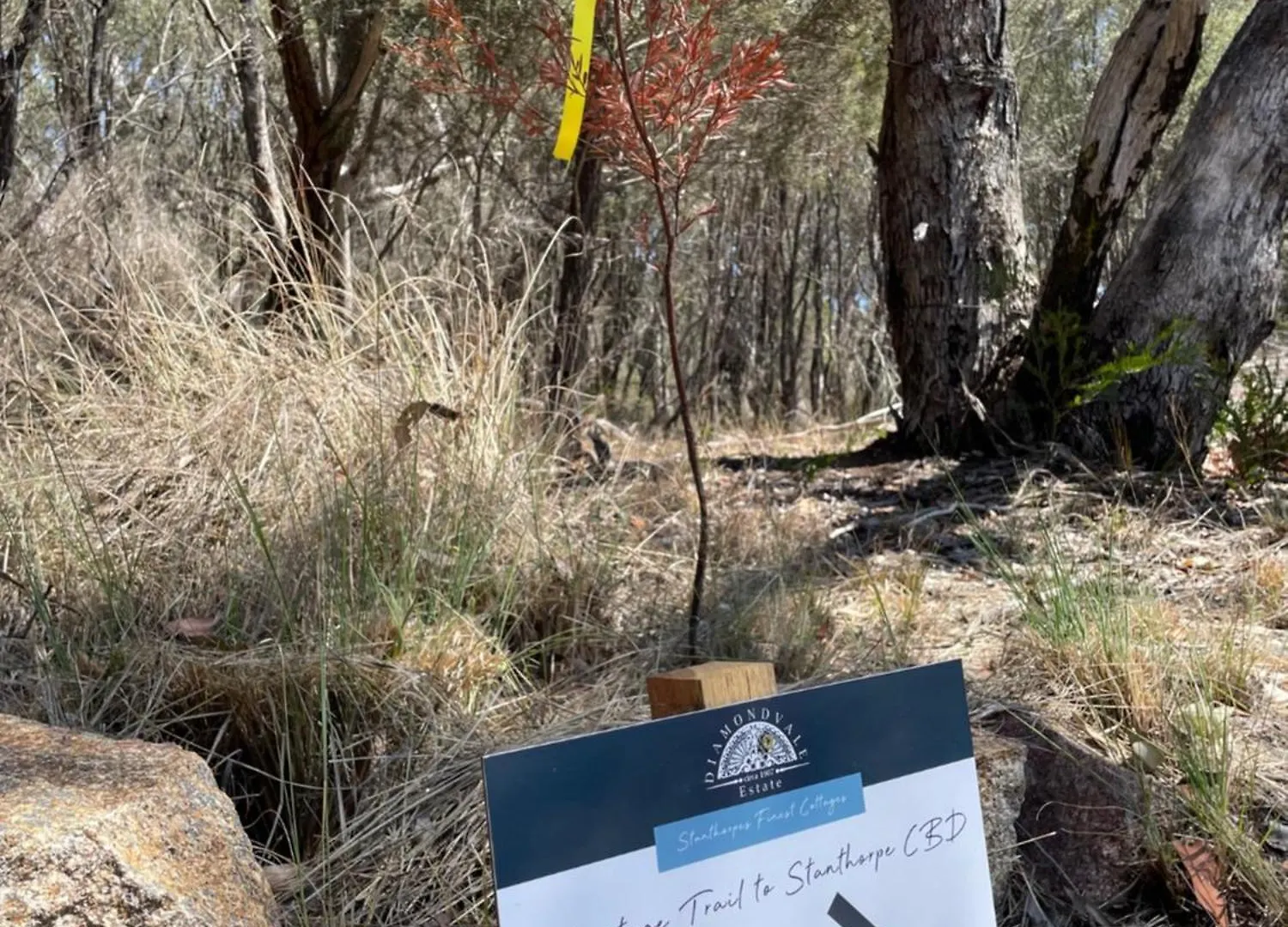 Diamondvale Estate Stanthorpe Panzió